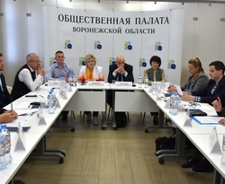 В Общественной палате обсудили развитие театрального искусства