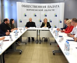 Комиссия по делам ветеранов боевых действий подключит профильные НКО и волонтерские организации к анализу мониторинга качества мер поддержки ветеранов СВО