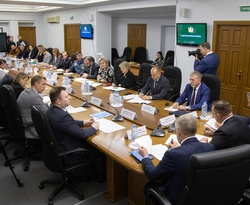 Наталья Пульвер приняла участие в обсуждении Концепции развития первой помощи в областной Думе